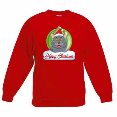 Kersttrui grijze kat / poes kerstbal zwart jongens meisjes