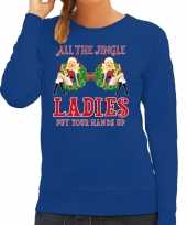 Blauwe kersttrui kerstkleding all the single ladies jingle ladies dames
