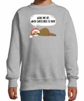 Grijze kersttrui kerstkleding luiaard wake me up when christmas is over kinderen