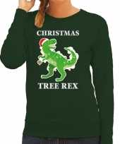 Groene kersttrui kerstkleding christmas tree rex dames