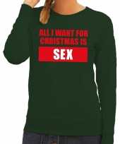 Lelijke kerstborrel trui groen all i want is sex dames