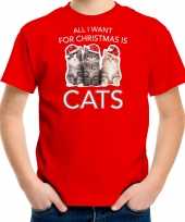 Rood kerstrui kerstkleding all i want for christmas is cats kinderen